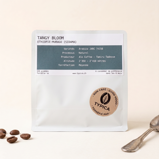 Tangy Bloom - Ethiopie